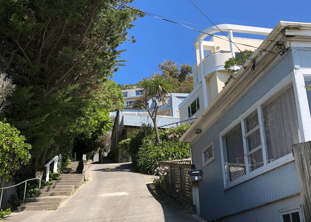 Screen Shot 2020-07-02 at 4.20.24 PM