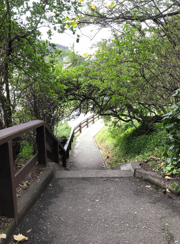 Screen Shot 2020-07-16 at 12.53.36 PM