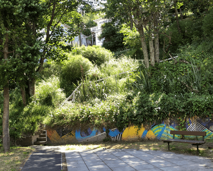 Screen Shot 2020-07-01 at 11.12.20 PM