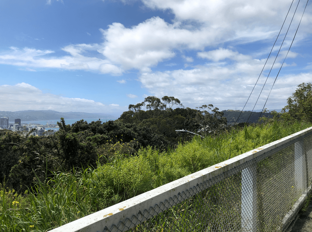 Screen Shot 2019-12-23 at 9.53.05 PM