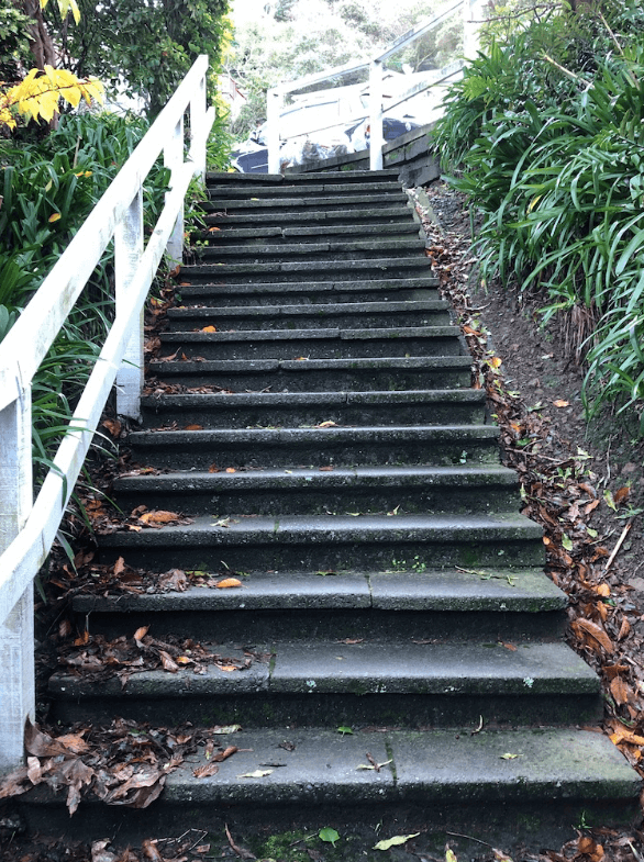 Screen Shot 2020-06-25 at 1.12.33 PM