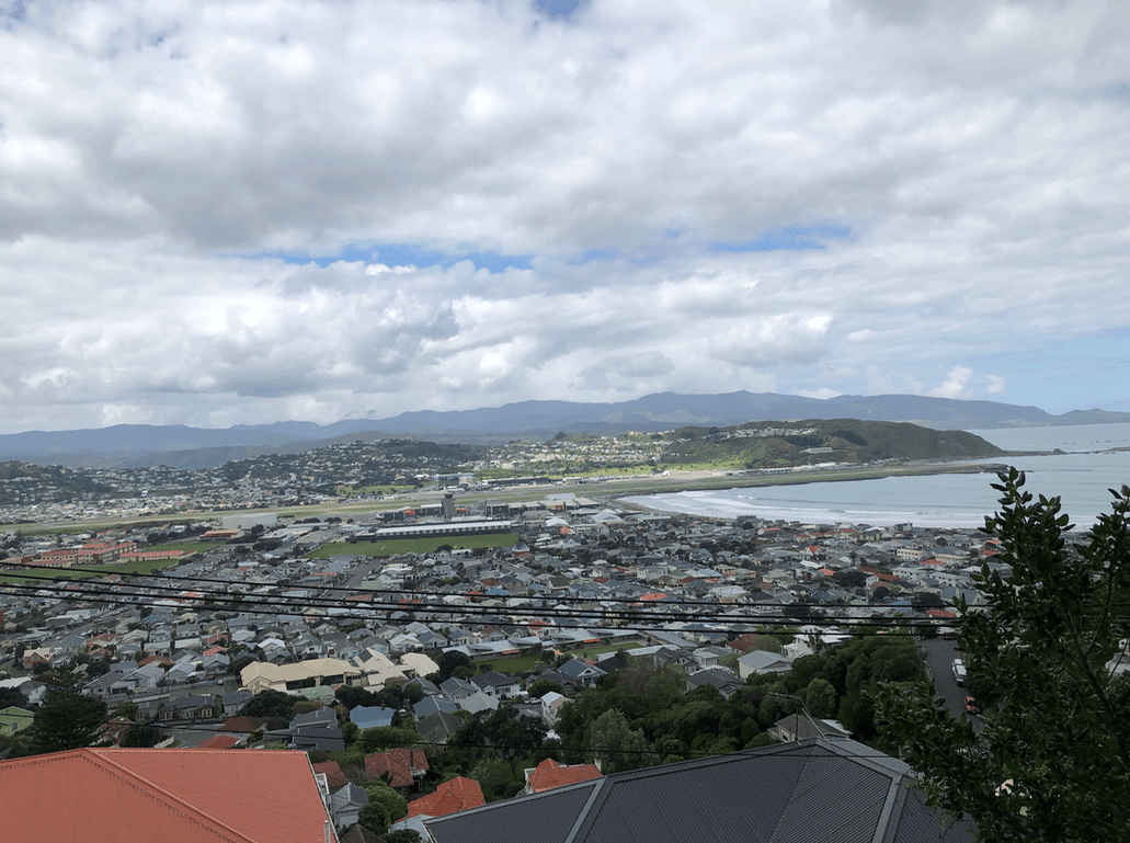 Screen Shot 2020-07-07 at 4.23.47 PM