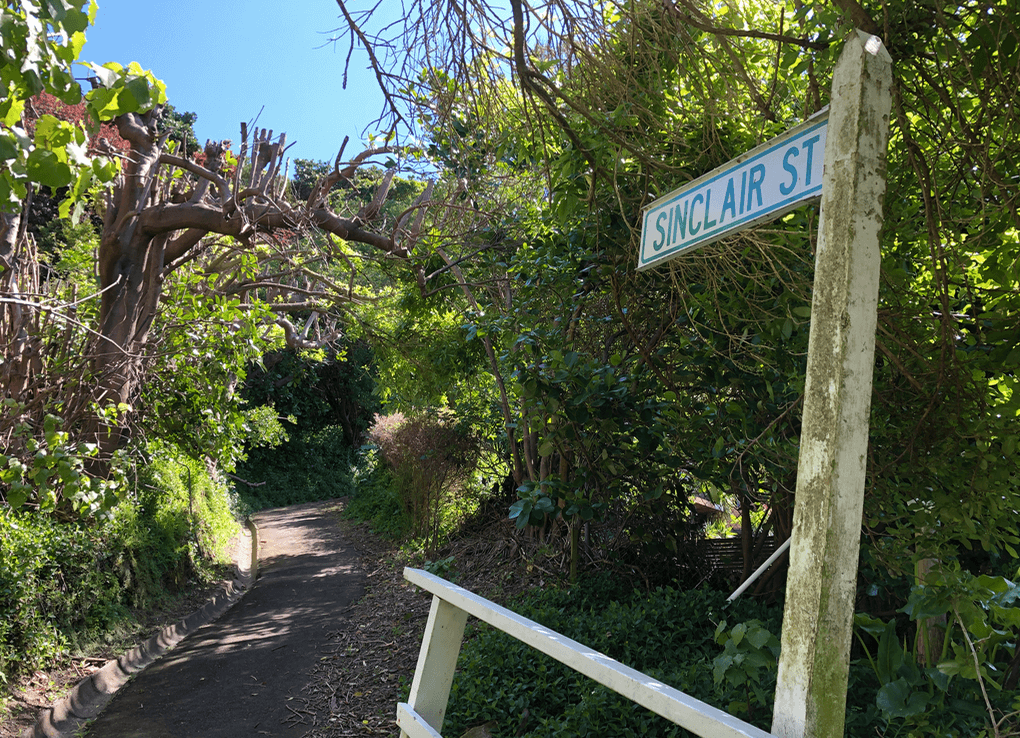 Screen Shot 2020-07-02 at 4.21.34 PM