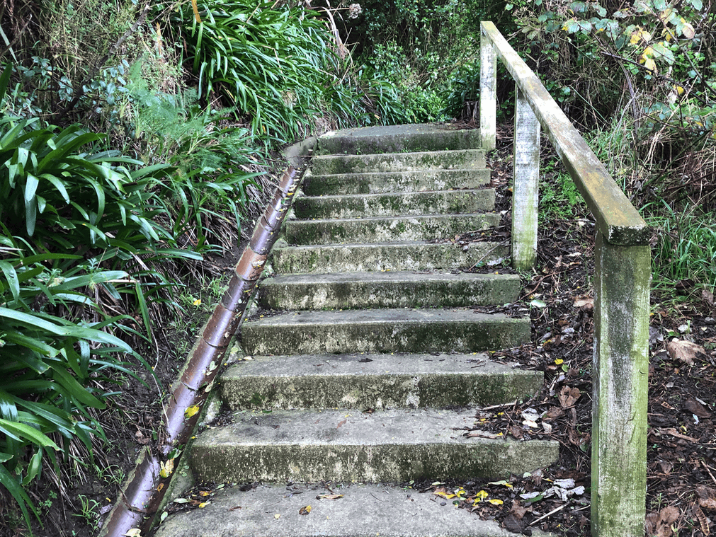 Screen Shot 2020-06-25 at 1.29.02 PM