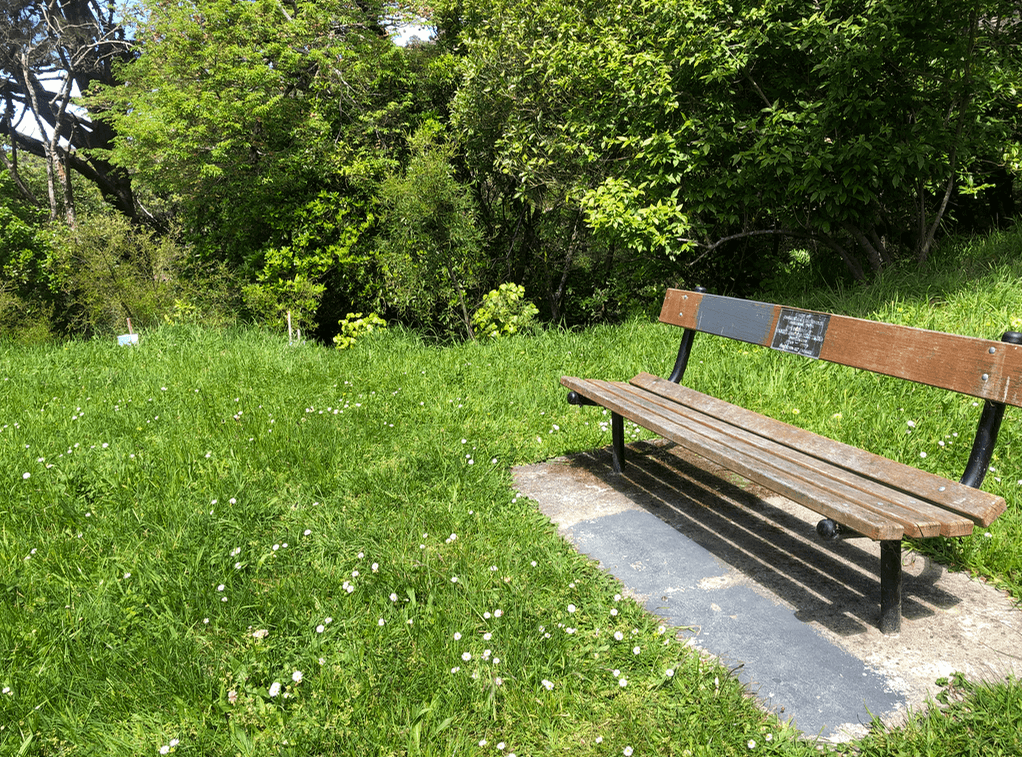 Screen Shot 2019-12-23 at 4.07.11 PM