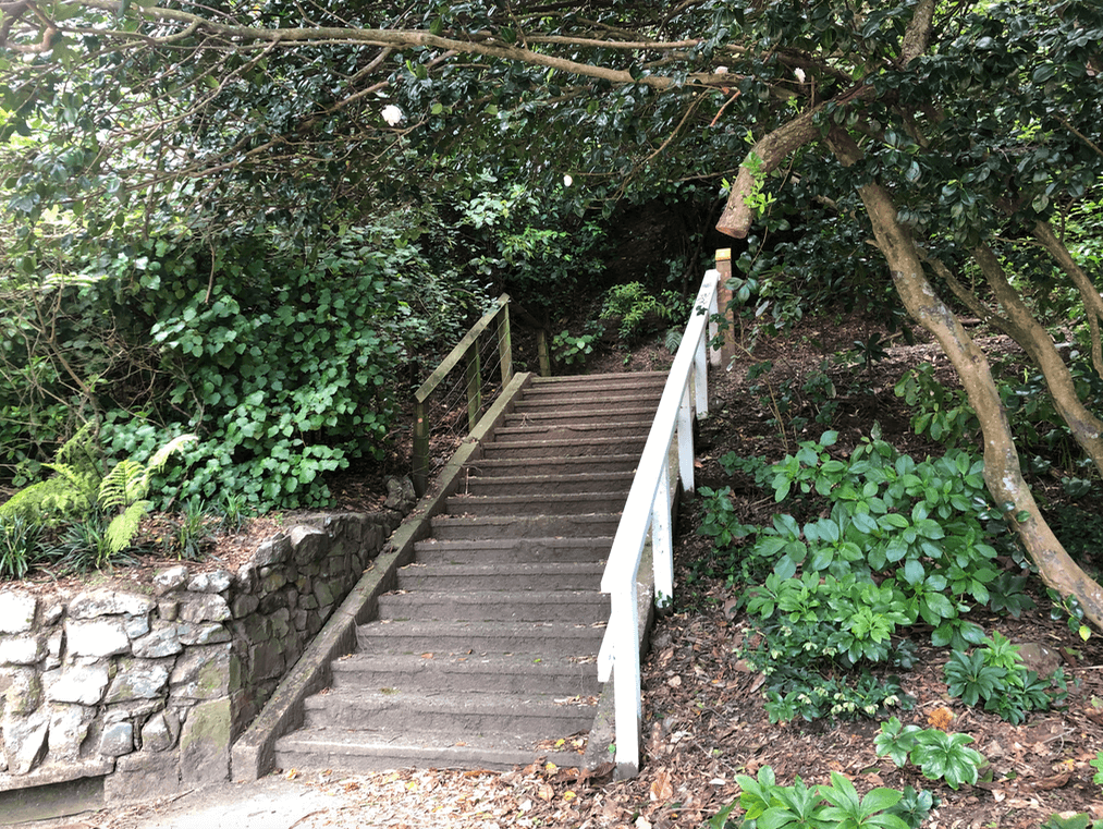 Screen Shot 2019-12-19 at 6.35.18 PM