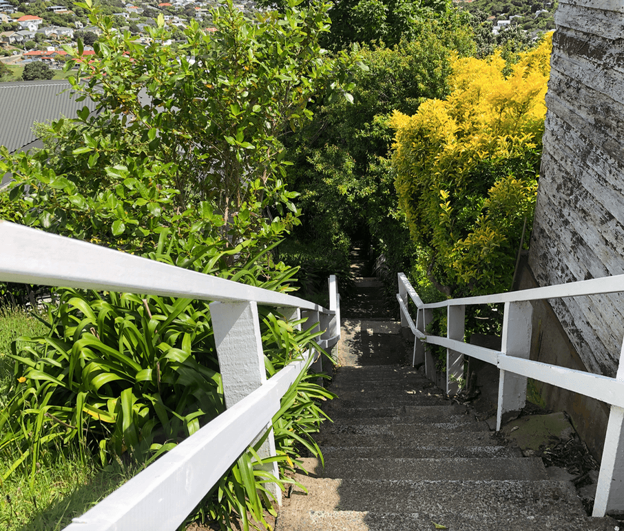 Screen Shot 2019-11-22 at 12.46.17 PM