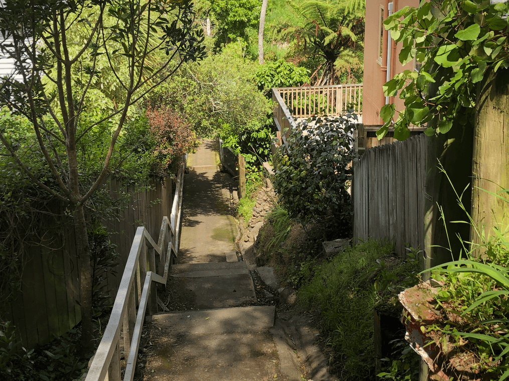 Screen Shot 2020-01-01 at 5.25.14 PM