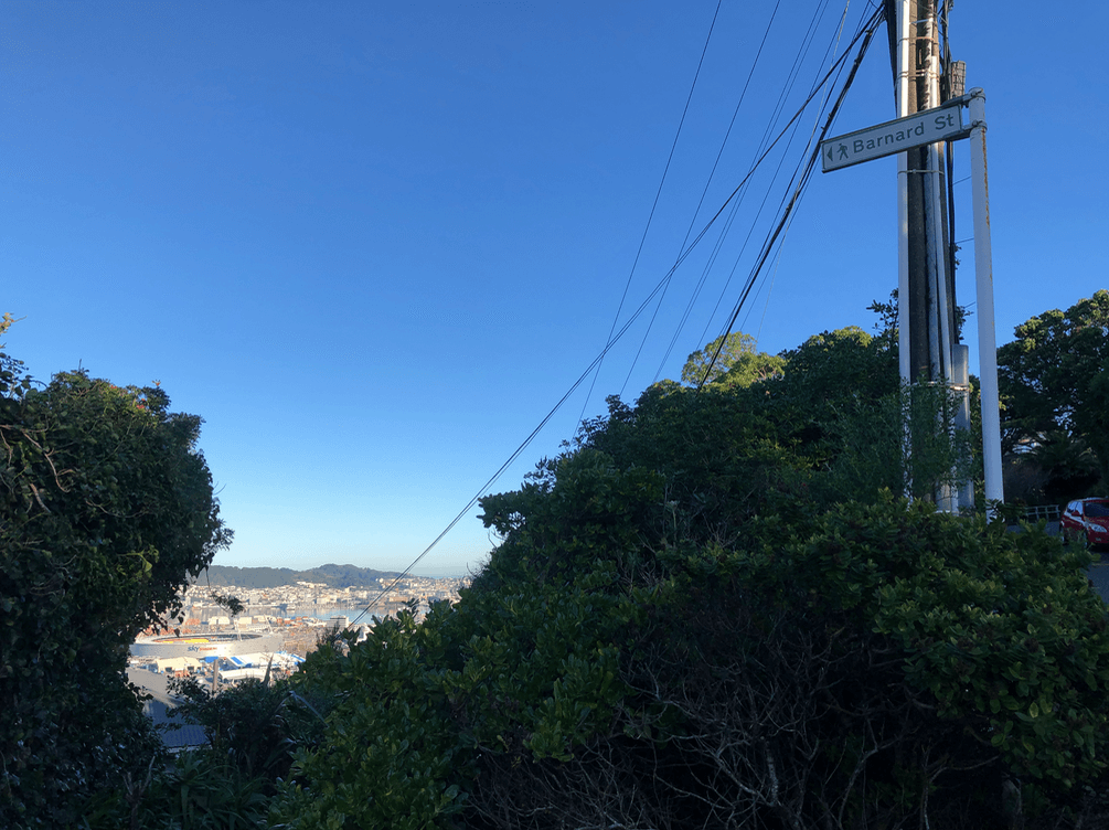 Screen Shot 2020-06-25 at 1.29.17 PM