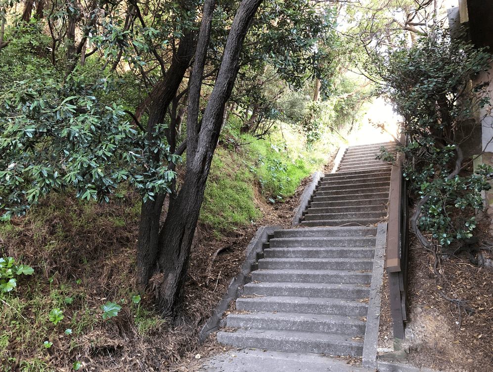 Screen Shot 2020-06-15 at 5.44.55 PM