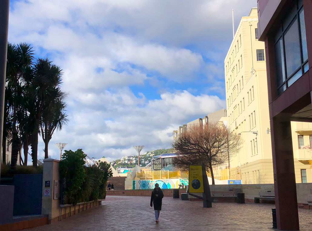 Screen Shot 2020-07-13 at 9.04.12 PM