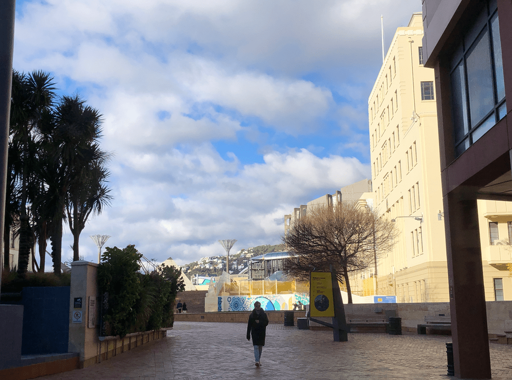 Screen Shot 2020-07-13 at 9.04.12 PM