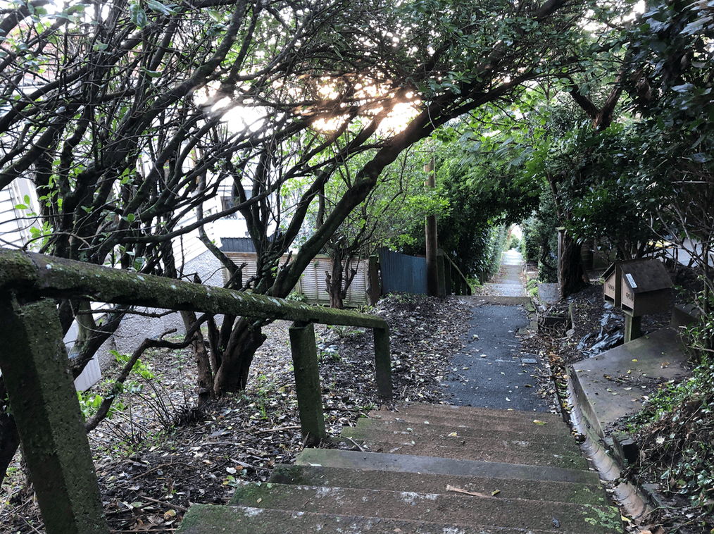 Screen Shot 2020-06-25 at 1.51.06 PM