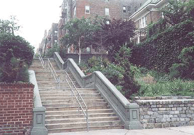 Screen Shot 2020-05-31 at 4.23.01 PM