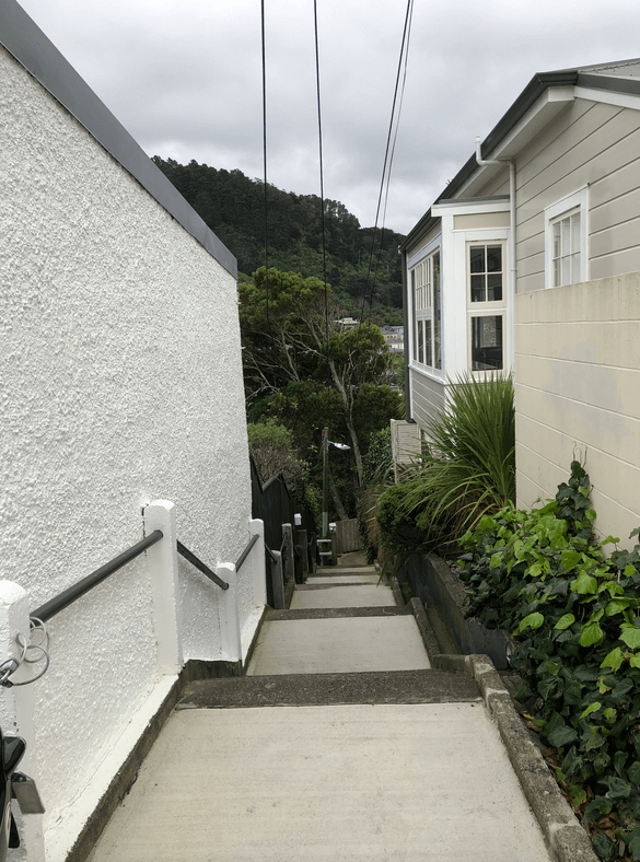 Screen Shot 2020-07-16 at 12.49.27 PM