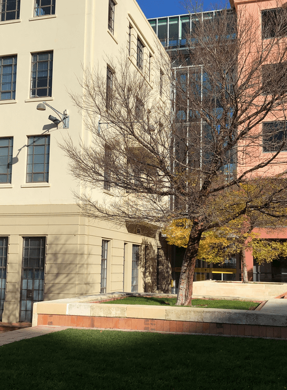 Screen Shot 2020-07-13 at 9.03.55 PM