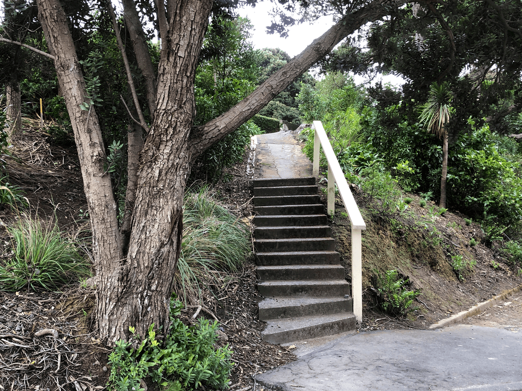 Screen Shot 2020-08-05 at 10.39.22 PM