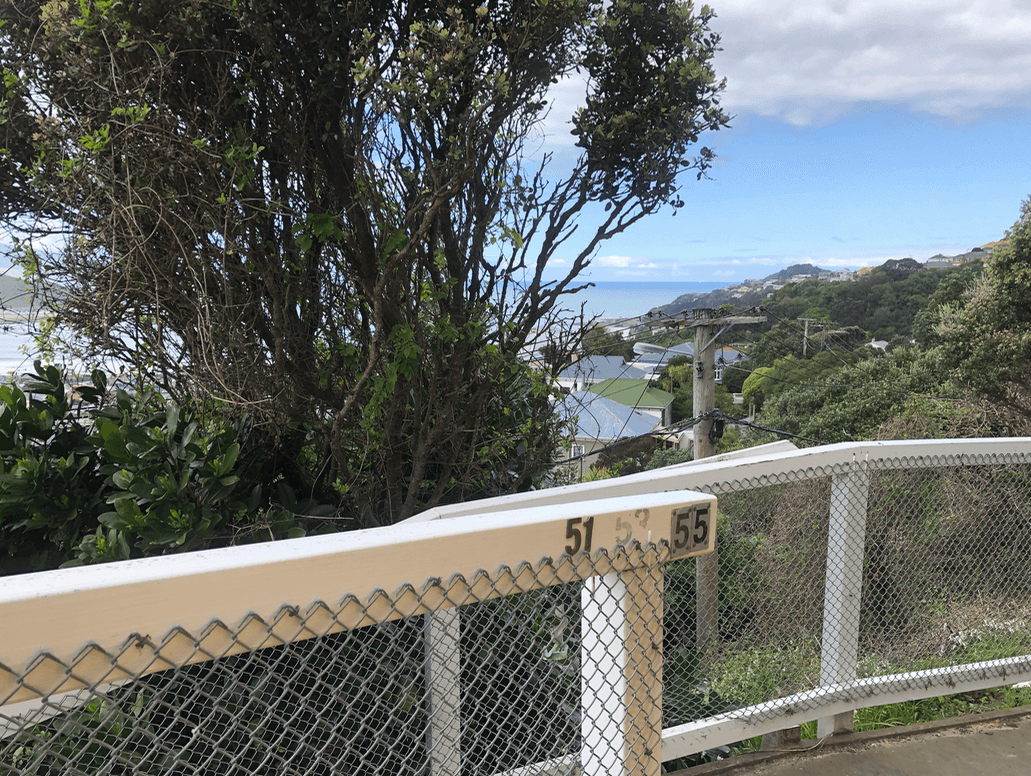 Screen Shot 2020-07-07 at 4.23.36 PM