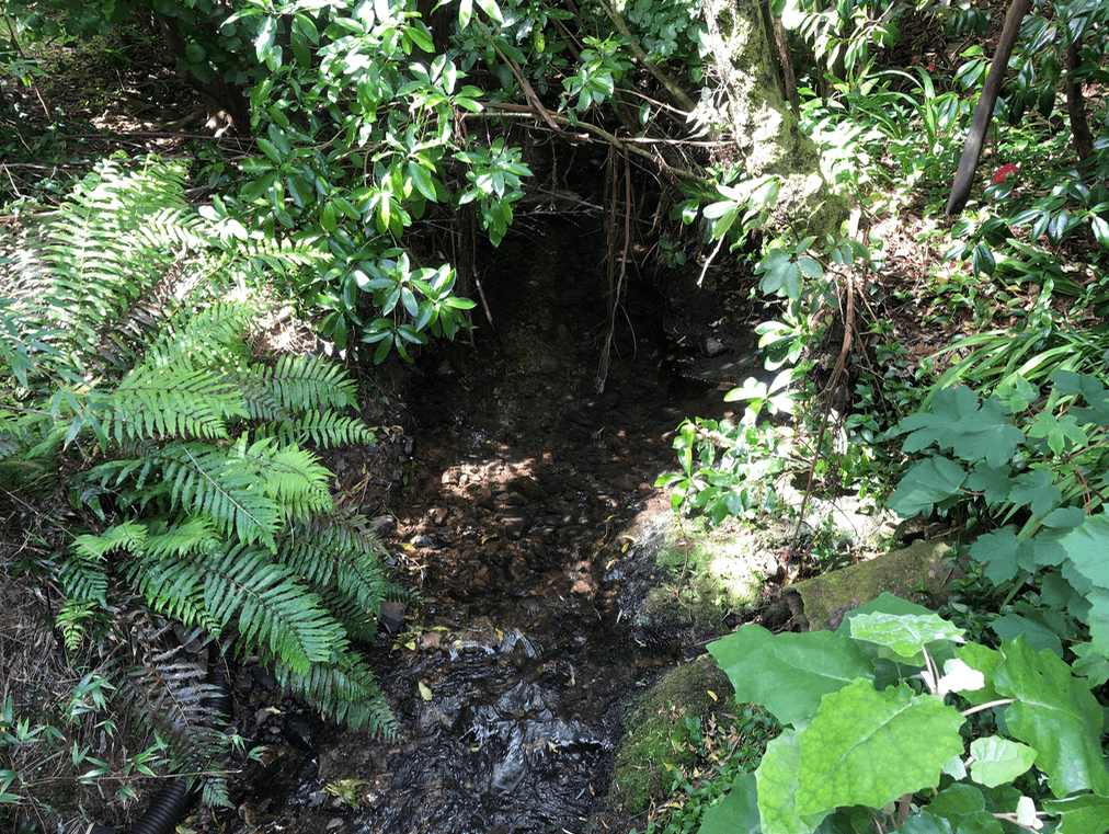 Screen Shot 2020-01-01 at 5.25.54 PM