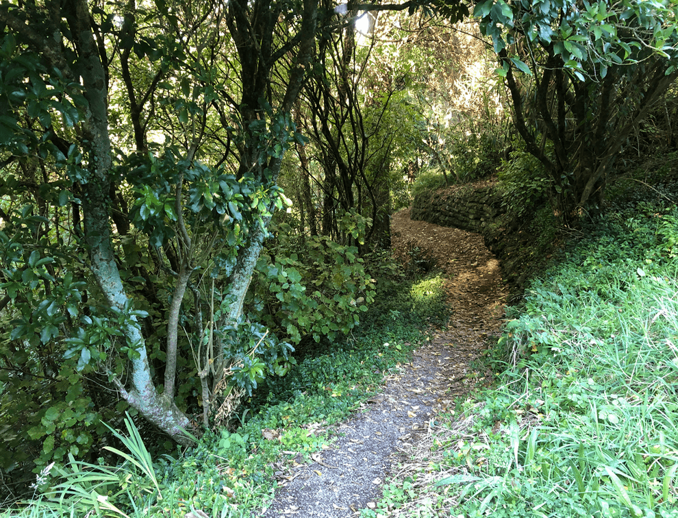 Screen Shot 2020-05-11 at 12.30.31 AM