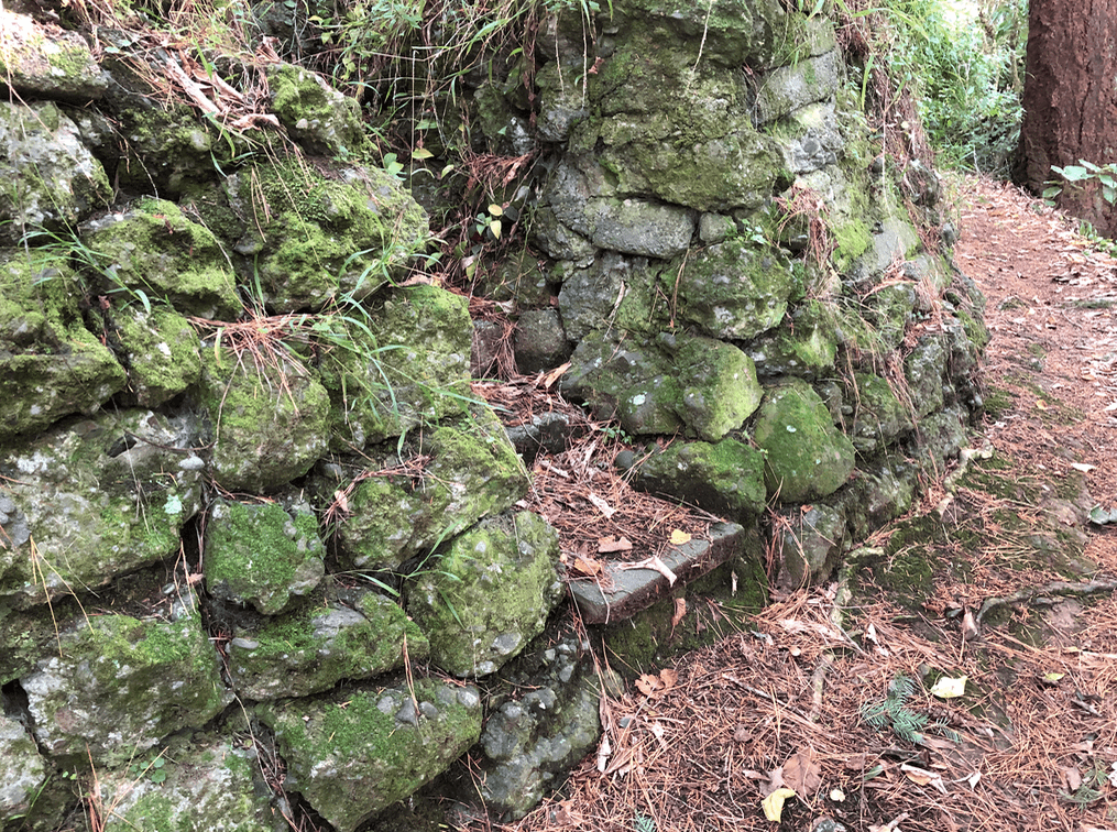 Screen Shot 2020-05-11 at 12.31.19 AM