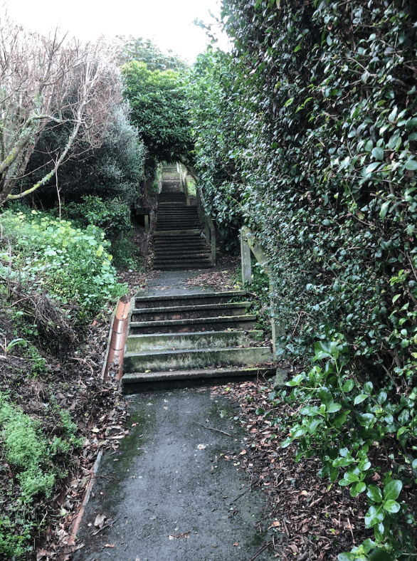 Screen Shot 2020-06-25 at 1.14.19 PM