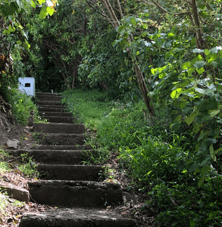 Screen Shot 2020-01-01 at 2.56.21 PM