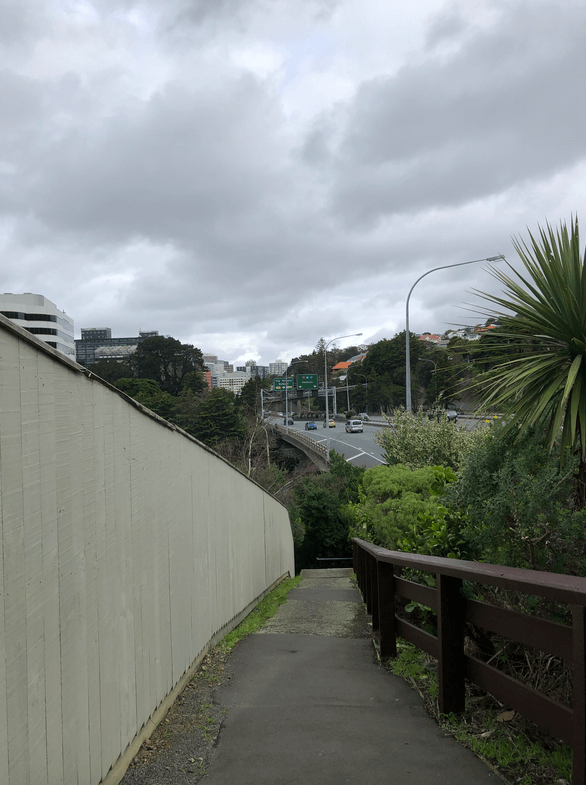 Screen Shot 2020-08-05 at 10.32.54 PM