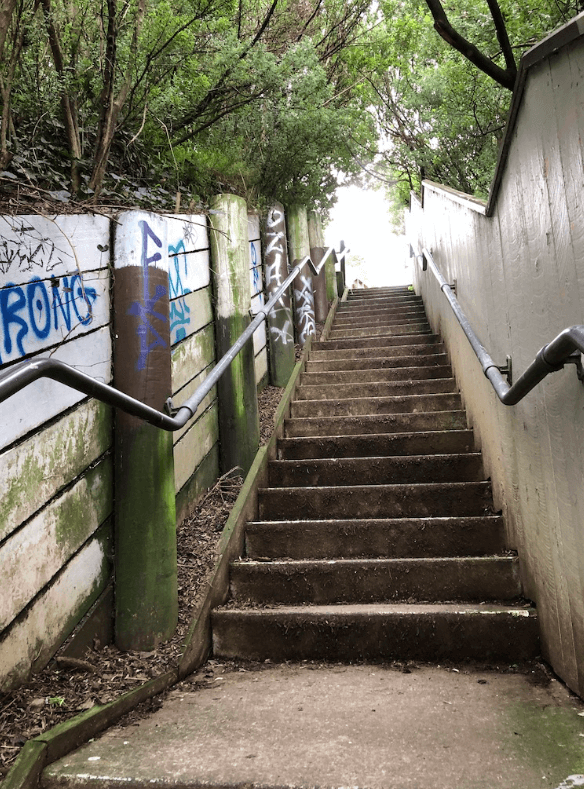 Screen Shot 2020-08-05 at 10.34.38 PM