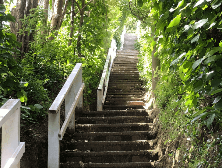 Screen Shot 2020-06-01 at 5.23.22 PM