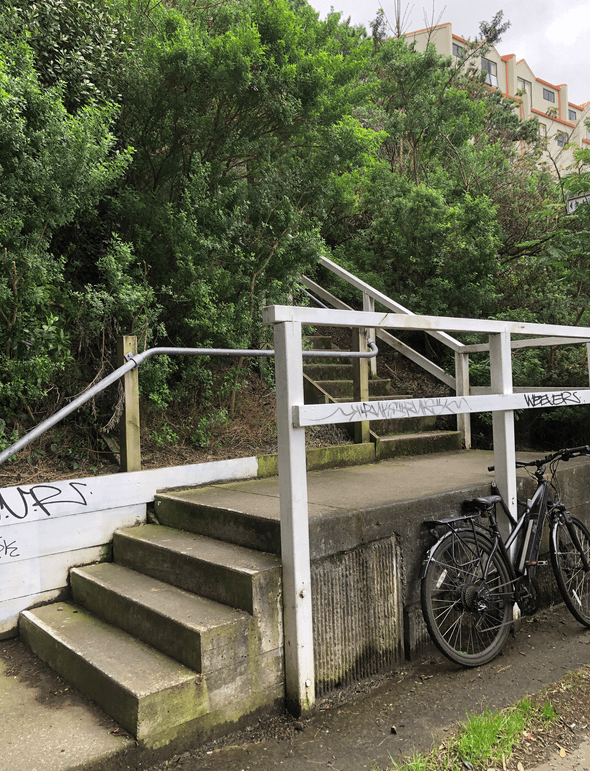 Screen Shot 2020-08-05 at 10.35.50 PM