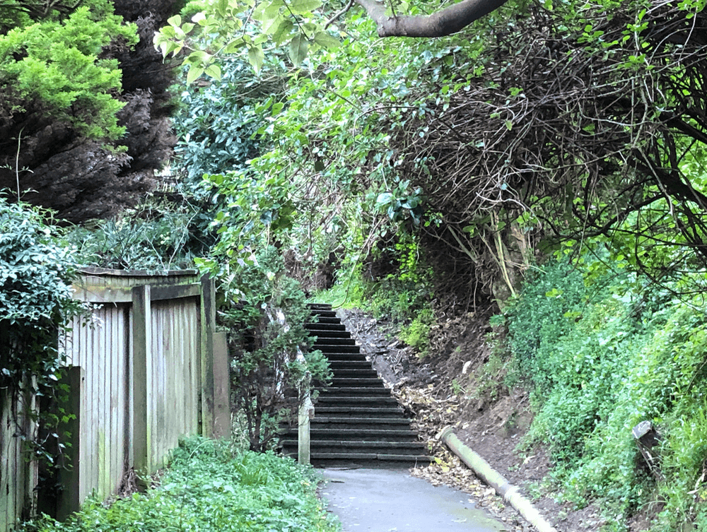 Screen Shot 2020-06-25 at 1.11.57 PM