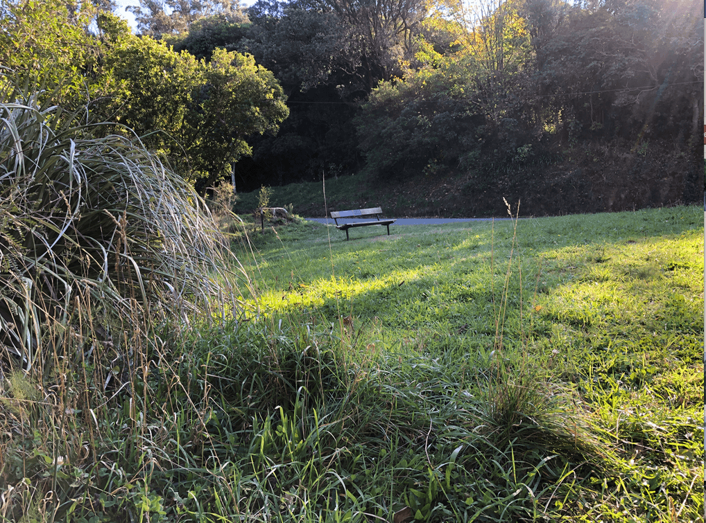 Screen Shot 2020-05-11 at 12.33.20 AM