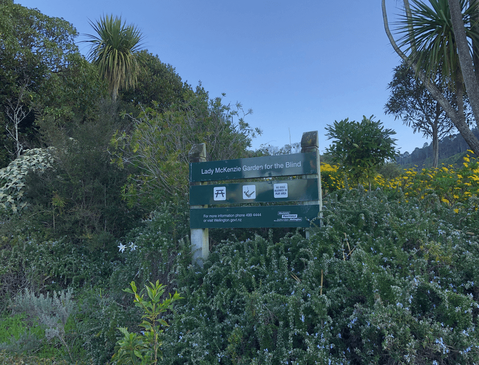 Screen Shot 2020-06-15 at 5.44.22 PM