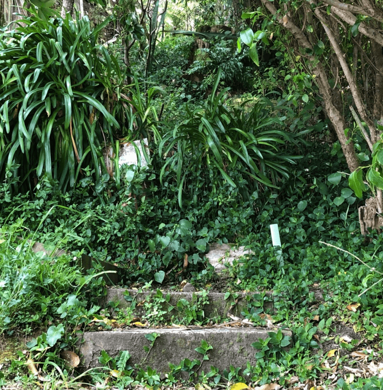 Screen Shot 2020-01-01 at 3.37.03 PM