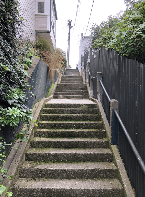 Screen Shot 2020-07-16 at 12.50.03 PM