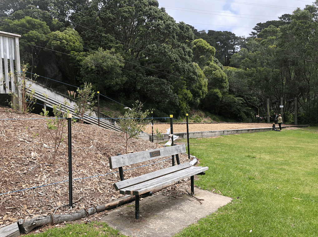 Screen Shot 2019-12-19 at 6.03.52 PM