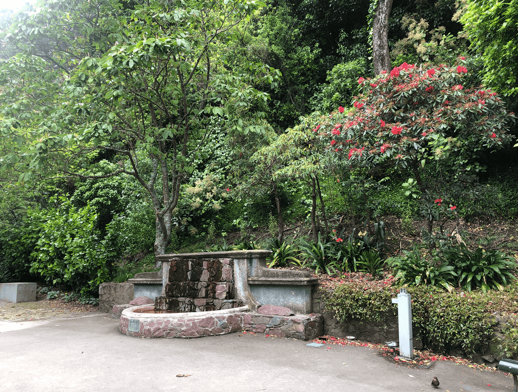 Screen Shot 2019-12-19 at 6.35.30 PM