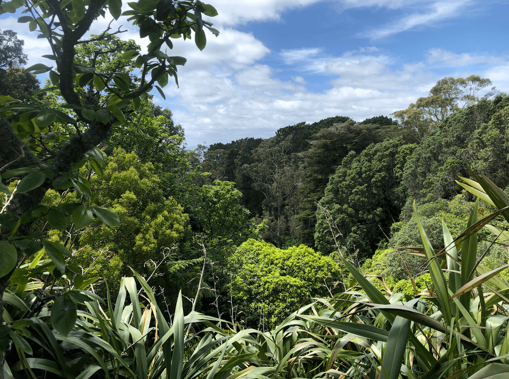 Screen Shot 2019-12-23 at 4.08.08 PM