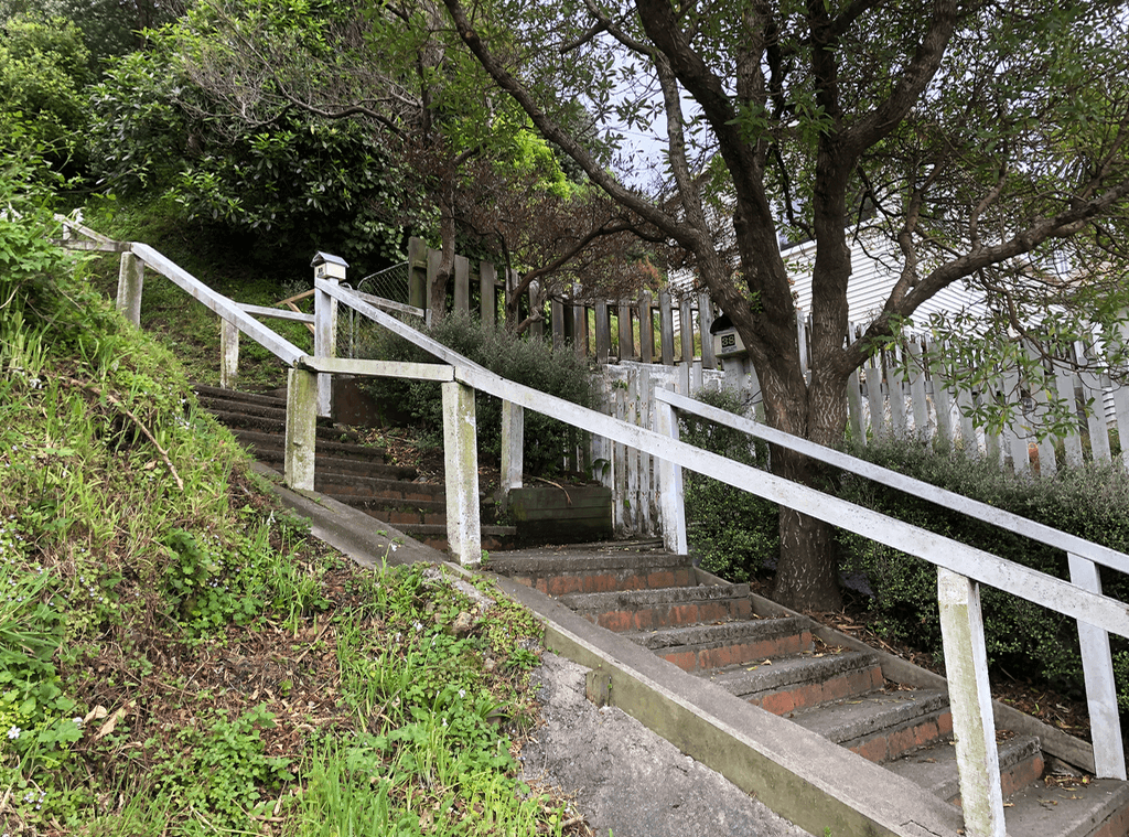 Screen Shot 2020-07-07 at 4.26.02 PM