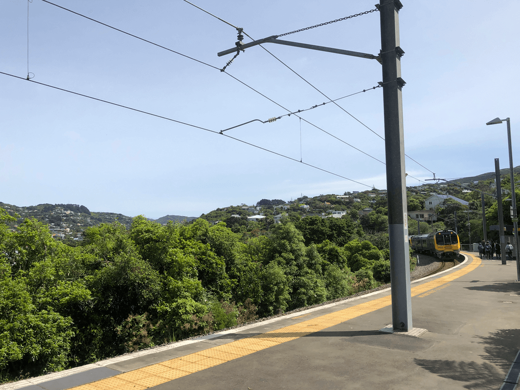 Screen Shot 2019-11-22 at 12.49.06 PM