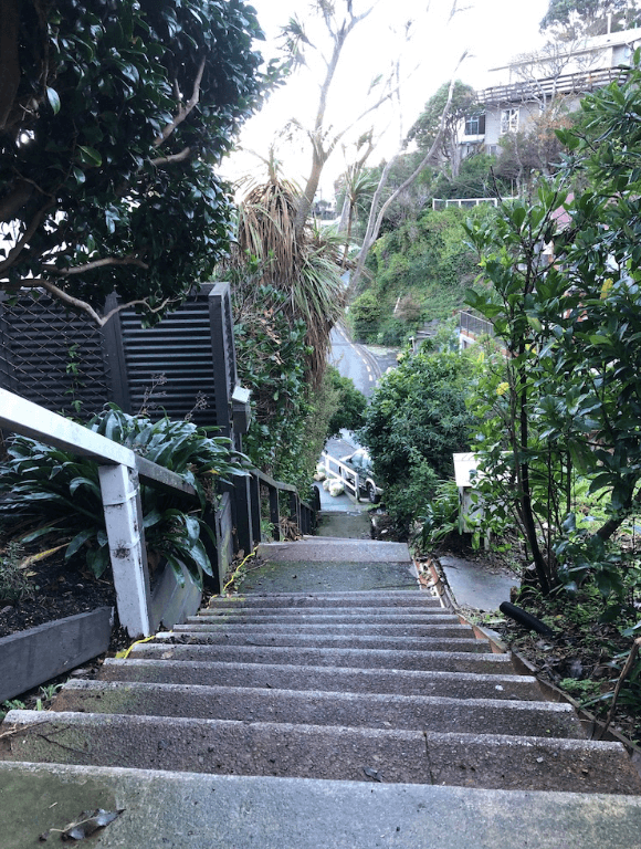 Screen Shot 2020-06-25 at 1.53.42 PM