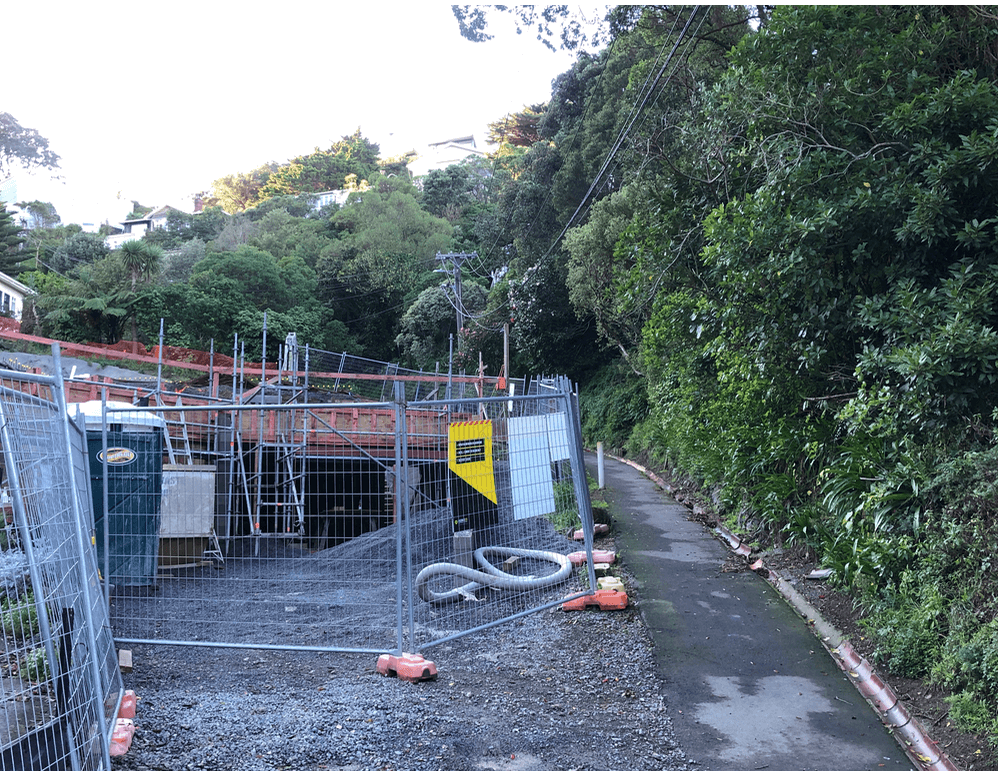 Screen Shot 2020-06-25 at 1.11.19 PM