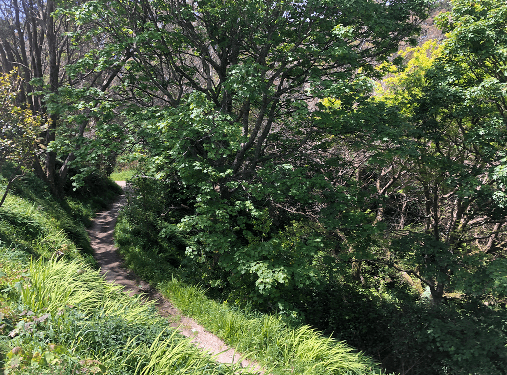 Screen Shot 2019-12-23 at 4.07.50 PM