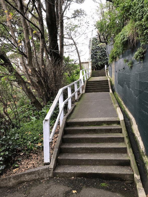 Screen Shot 2020-07-16 at 12.52.56 PM