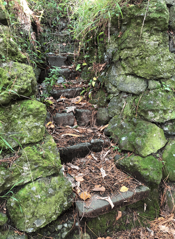 Screen Shot 2020-05-11 at 12.31.59 AM