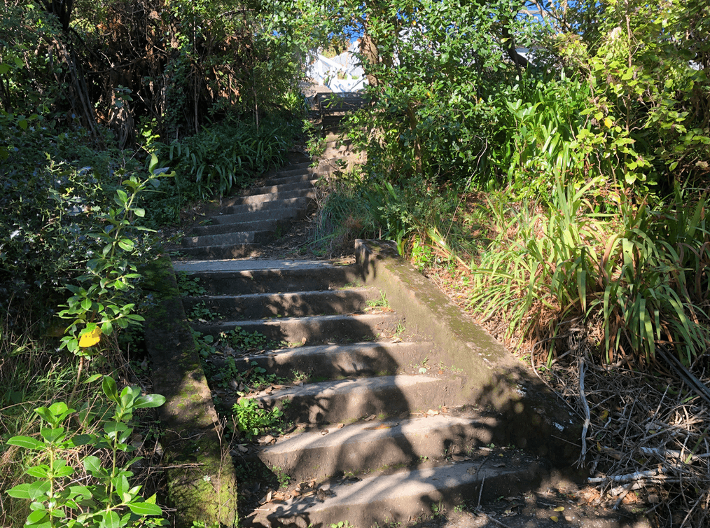 Screen Shot 2020-05-11 at 1.31.38 AM