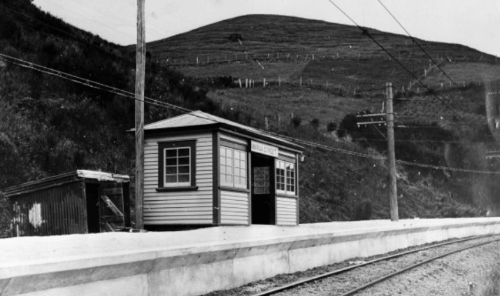 Screen Shot 2019-11-23 at 6.06.26 PM