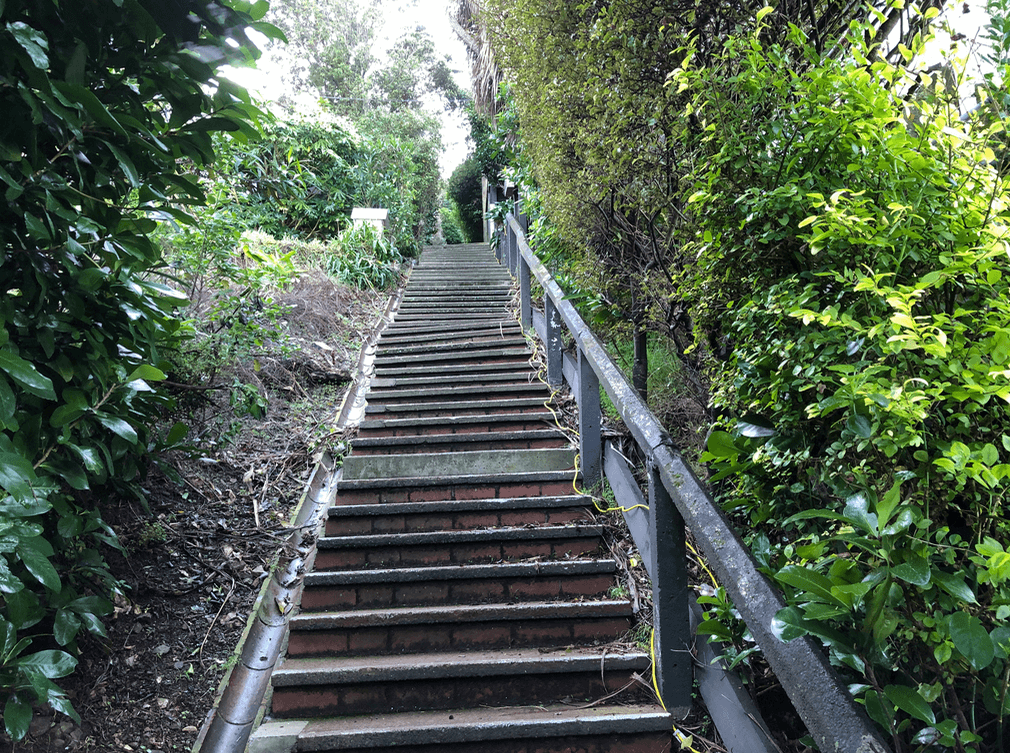 Screen Shot 2020-06-25 at 1.13.56 PM