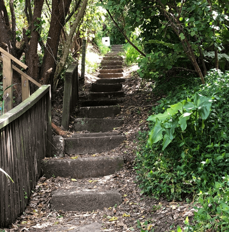 Screen Shot 2020-01-01 at 2.55.58 PM